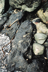 Photo of sample